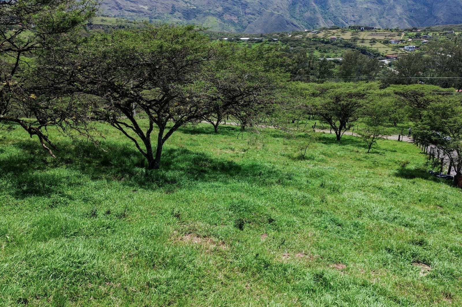 Terreno en Venta, Yunguilla Sector Caledoneas - Imagen 2